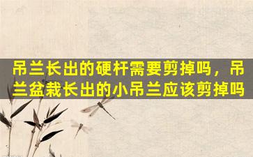吊兰长出的硬杆需要剪掉吗，吊兰盆栽长出的小吊兰应该剪掉吗