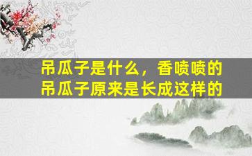 吊瓜子是什么，香喷喷的吊瓜子原来是长成这样的