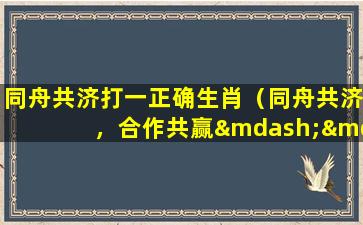同舟共济打一正确生肖（同舟共济，合作共赢——猪年运程预测）