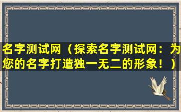 名字测试网（探索名字测试网：为您的名字打造独一无二的形象！）