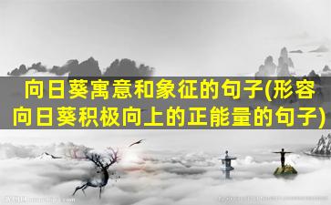 向日葵寓意和象征的句子(形容向日葵积极向上的正能量的句子)