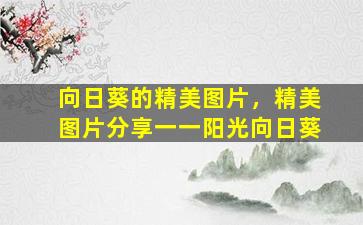 向日葵的精美图片，精美图片分享一一阳光向日葵