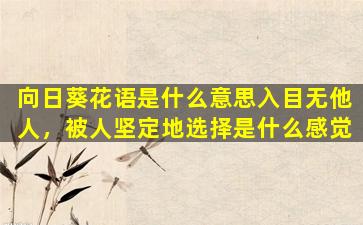 向日葵花语是什么意思入目无他人，被人坚定地选择是什么感觉