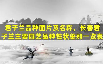 君子兰品种图片及名称，长春君子兰主要园艺品种性状鉴别一览表