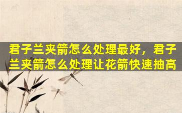 君子兰夹箭怎么处理最好，君子兰夹箭怎么处理让花箭快速抽高
