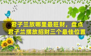 君子兰放哪里最旺财，盘点君子兰摆放招财三个最佳位置