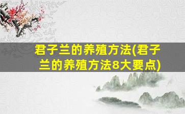 君子兰的养殖方法(君子兰的养殖方法8大要点)