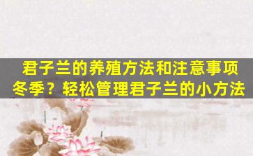 君子兰的养殖方法和注意事项冬季？轻松管理君子兰的小方法