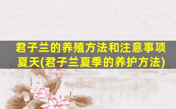 君子兰的养殖方法和注意事项夏天(君子兰夏季的养护方法)