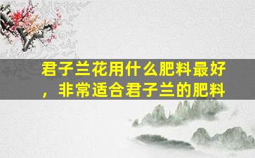 君子兰花用什么肥料最好，非常适合君子兰的肥料