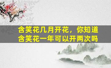 含笑花几月开花，你知道含笑花一年可以开两次吗