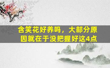 含笑花好养吗，大部分原因就在于没把握好这4点