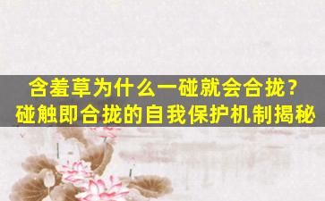 含羞草为什么一碰就会合拢？碰触即合拢的自我保护机制揭秘
