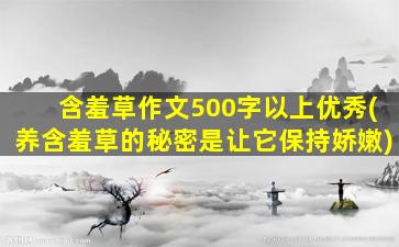 含羞草作文500字以上优秀(养含羞草的秘密是让它保持娇嫩)
