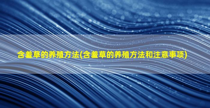 含羞草的养殖方法(含羞草的养殖方法和注意事项)