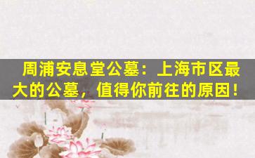 周浦安息堂公墓：上海市区最大的公墓，值得你前往的原因！