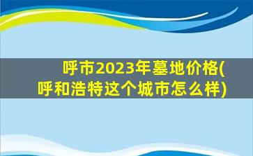 呼市2023年墓地价格(呼和浩特这个城市怎么样)