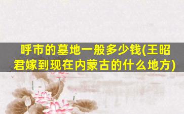 呼市的墓地一般多少钱(王昭君嫁到现在内蒙古的什么地方)