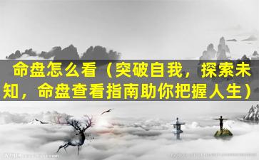 命盘怎么看（突破自我，探索未知，命盘查看指南助你把握人生）