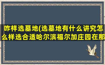 咋样选墓地(选墓地有什么讲究怎么样选合适哈尔滨福尔加庄园在那)