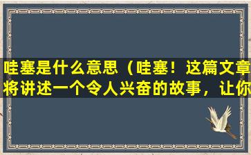 哇塞是什么意思（哇塞！这篇文章将讲述一个令人兴奋的故事，让你感受到哇塞的体验！）