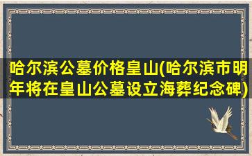 哈尔滨公墓价格皇山(哈尔滨市明年将在皇山公墓设立海葬纪念碑)