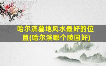 哈尔滨墓地风水最好的位置(哈尔滨哪个陵园好)