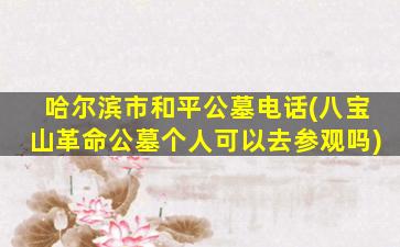 哈尔滨市和平公墓电话(八宝山革命公墓个人可以去参观吗)
