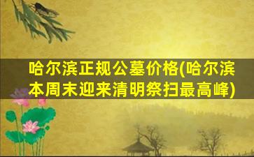 哈尔滨正规公墓价格(哈尔滨本周末迎来清明祭扫最高峰)