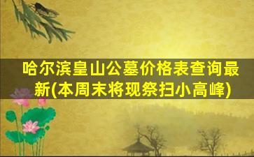 哈尔滨皇山公墓价格表查询最新(本周末将现祭扫小高峰)