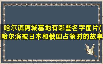 哈尔滨阿城墓地有哪些名字图片(哈尔滨被日本和俄国占领时的故事)