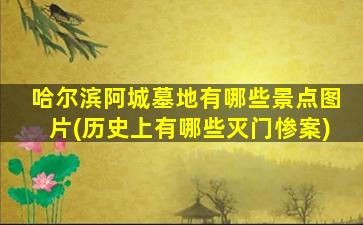 哈尔滨阿城墓地有哪些景点图片(历史上有哪些灭门惨案)