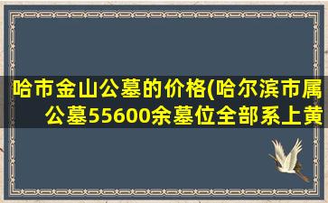 哈市金山公墓的价格(哈尔滨市属公墓55600余墓位全部系上黄丝带)