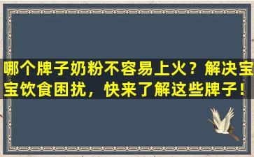 哪个牌子奶粉不容易上火？解决宝宝饮食困扰，快来了解这些牌子！