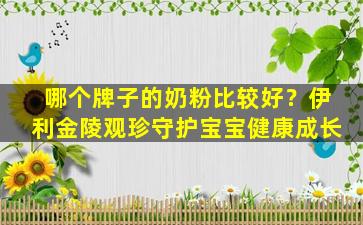 哪个牌子的奶粉比较好？伊利金陵观珍守护宝宝健康成长
