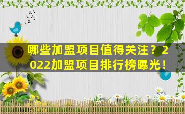 哪些加盟项目值得关注？2022加盟项目排行榜曝光！