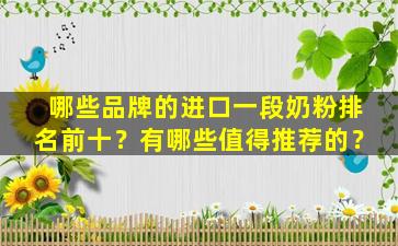 哪些品牌的进口一段奶粉排名前十？有哪些值得推荐的？