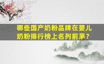 哪些国产奶粉品牌在婴儿奶粉排行榜上名列前茅？