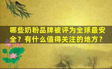 哪些奶粉品牌被评为全球最安全？有什么值得关注的地方？