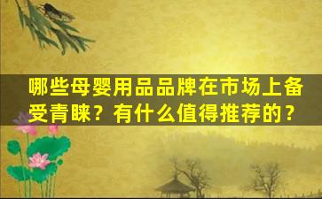哪些母婴用品品牌在市场上备受青睐？有什么值得推荐的？