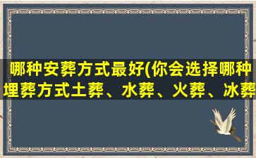 哪种安葬方式最好(你会选择哪种埋葬方式土葬、水葬、火葬、冰葬、安乐死)