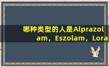 哪种类型的人是Alprazolam，Eszolam，Lorazepam，Rizeepam和Zopiclon？