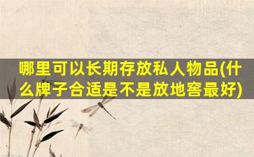 哪里可以长期存放私人物品(什么牌子合适是不是放地窖最好)