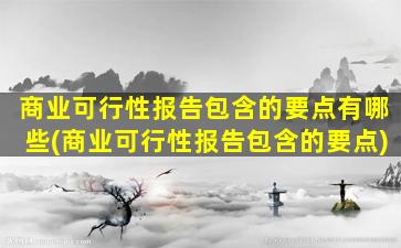商业可行性报告包含的要点有哪些(商业可行性报告包含的要点)