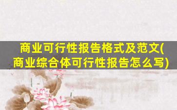 商业可行性报告格式及范文(商业综合体可行性报告怎么写)