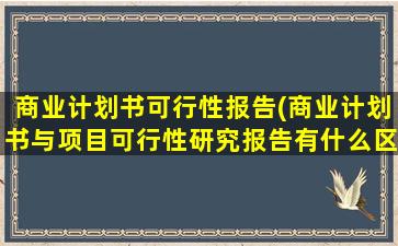 商业计划书可行性报告(商业计划书与项目可行性研究报告有什么区别)