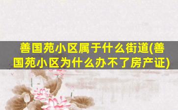 善国苑小区属于什么街道(善国苑小区为什么办不了房产证)