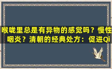 喉咙里总是有异物的感觉吗？慢性咽炎？清朝的经典处方：促进Qi，消除血液暂停和促进咽部