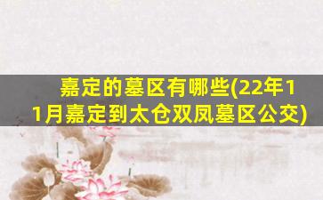 嘉定的墓区有哪些(22年11月嘉定到太仓双凤墓区公交)