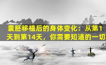 囊胚移植后的身体变化：从第1天到第14天，你需要知道的一切